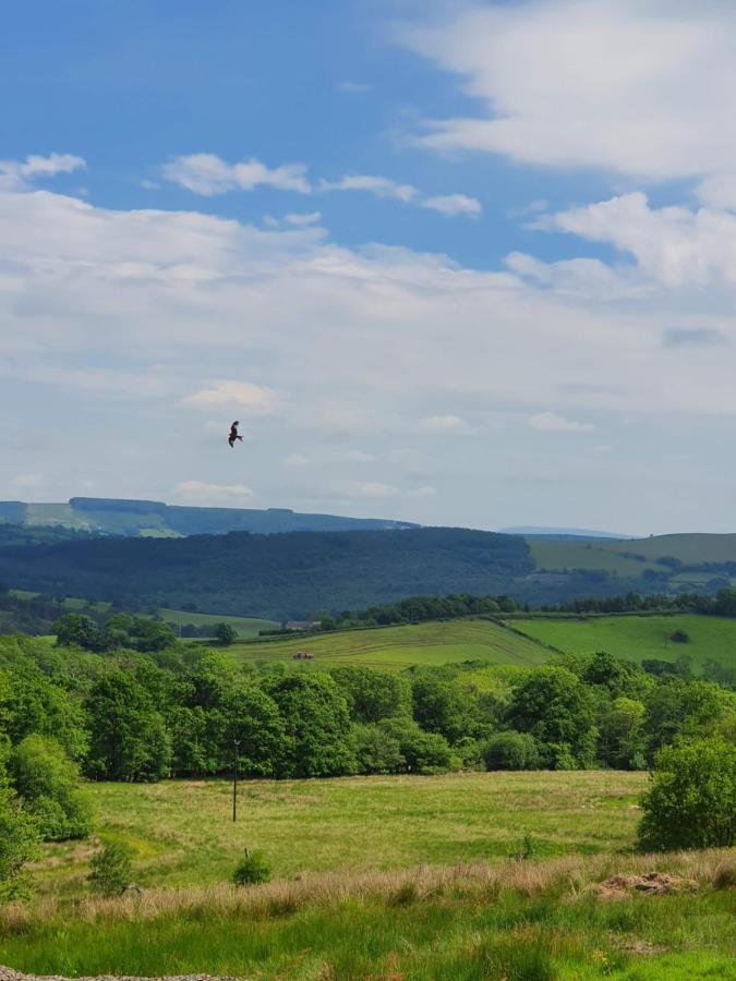 Calon Y Goedwig Glamping Ξενοδοχείο Llandovery Εξωτερικό φωτογραφία