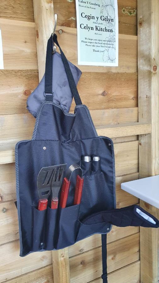 Calon Y Goedwig Glamping Ξενοδοχείο Llandovery Εξωτερικό φωτογραφία