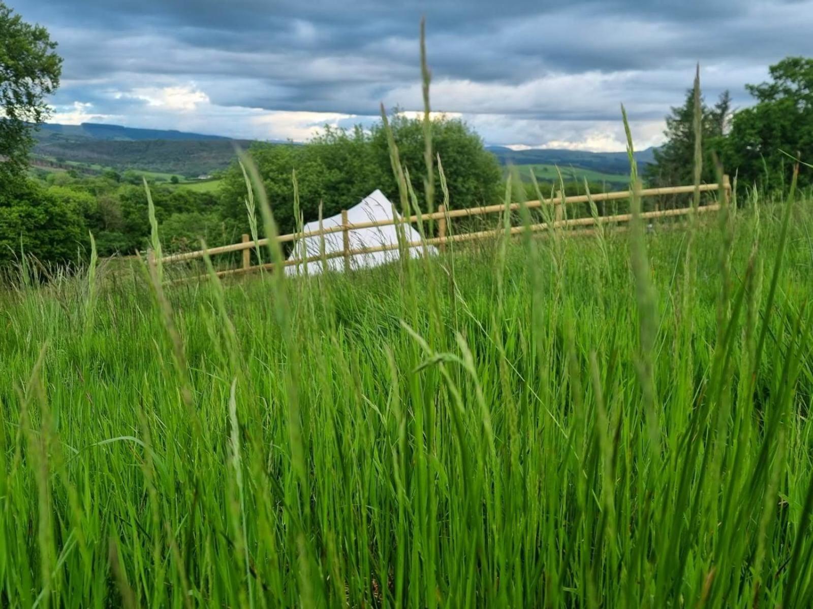 Calon Y Goedwig Glamping Ξενοδοχείο Llandovery Εξωτερικό φωτογραφία